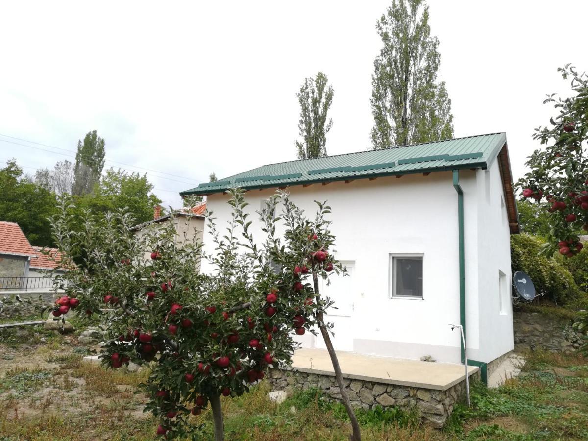 Villa Lila Dolno Dupeni Exterior foto